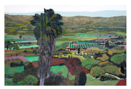 Oded Feingersh- Jezreel Valley