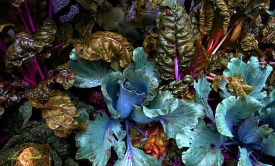 Lika Ramati - Vegetable Garden in Blue