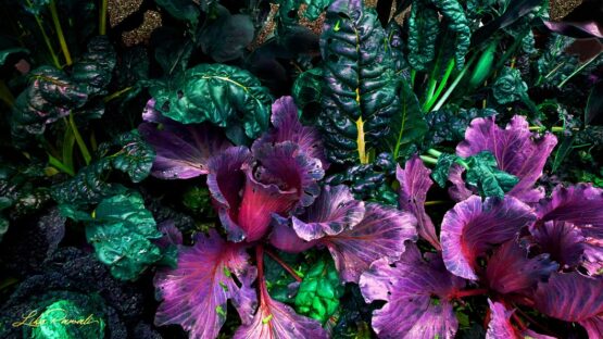 Lika Ramati - Vegetable Garden in Purple