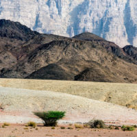 Arik Baltinester- Colors Of The Desert