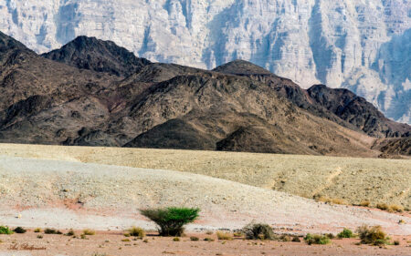 Arik Baltinester- Colors Of The Desert