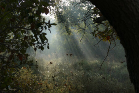 Arik Baltinester- Israeli Beauty #13 Fine Art Photography. Quality print. Manually signed. 60 x 40 cm