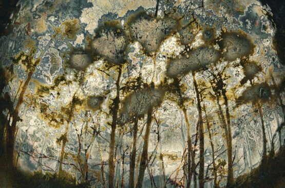 Eduardo Fujii - The Psychology of Trees n.1 Digital Print, 23.3" x 15.4",  59.182 x 39.116 cm.  Signed. 