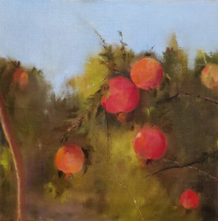 Eti Yacoby - Pomegranate, 2020 Original Art. Oil on canvas, 40 X 40 cm. Signed.