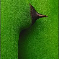 Damjan Voglar - Nipple Fine Art Photography. Quality prints on fine art paper. 60 x 90 cm. Manually signed and numbered. (Available in various formats and media options.)