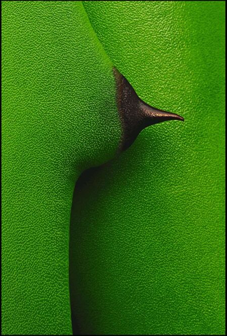 Damjan Voglar - Nipple