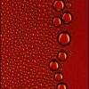 Damjan Voglar - RedDrops Fine Art Photography. Quality prints on fine art paper. 60 x 90 cm. Manually signed and numbered. (Available in various formats and media options.)