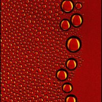 Damjan Voglar - RedDrops Fine Art Photography. Quality prints on fine art paper. 60 x 90 cm. Manually signed and numbered. (Available in various formats and media options.)
