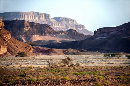 Ari Baltinester - Good morning, Timna Valley