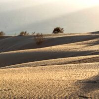 Ari Baltinester - Good morning Samar Dune Quality print on Brita or watercolor paper (310 grams acid-free and cotton-based). Size 50 x 75 cm, including the white margins. The print can be ordered in different sizes on request. The print is manually signed and numbered by the artist.