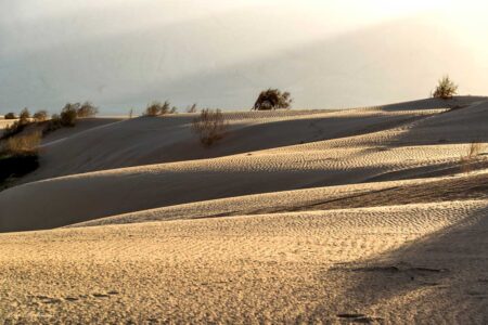 Ari Baltinester - Good morning, Samar Dune