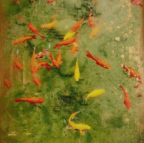Lika Ramati - GoldFish New Media Art. Limited Edition. Quality print signed and numbered 1/8. 60 x 60 cm.