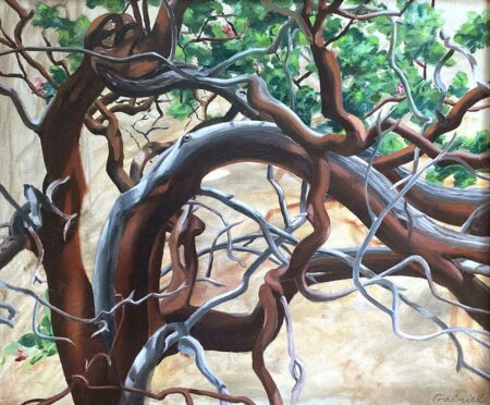 Rebecca Gabriel - Manzanita Original Art. Oil on canvas. 20” x 24,” 50.8 x 60.96 cm . Signed.