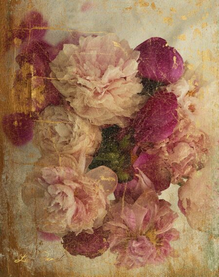 Lika Ramati - White Peonies New Media Art. Limited Edition. Quality print signed and numbered 1/8. 80 x 63 cm.