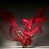 LOIS GREENFIELD | Sean Carmon, 2016 Quality prints in various sizes. Limited Editions. Signed Manually. Contact for more info