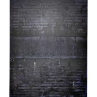 PETER MARKUS JENTES | Winters Dark Matter. 2020 Original Art. Acrylic on canvas. 122 x 91.5 cm. Signed. 