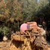 ROOT YARDEN | Untitled #2