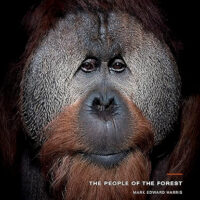 The Book “The People of the Forest” by Mark Edward Harris. Signed Manually by the artist.