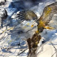 Varda Breger | American Eagle Original Art. Mixed media on paper. 50 x 50 cm. Unframed. Signed.