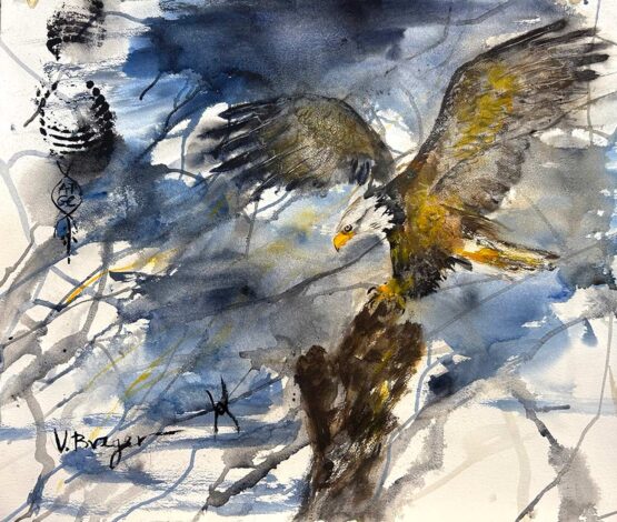 Varda Breger | American Eagle Original Art. Mixed media on paper. 50 x 50 cm. Unframed. Signed.