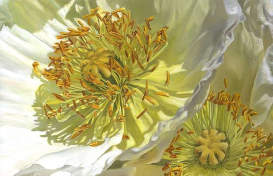Enzo Montana | Everyday Sunshine Original Art. Oil on canvas. 65 x 100 cm. Signed.