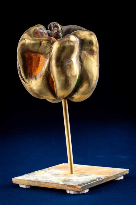 Avishai Greis | Pepper Bronze Sculpture. 2022