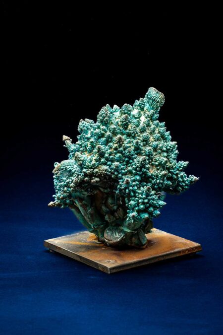 Avishai Greis | Romanesco Bronze. 2020