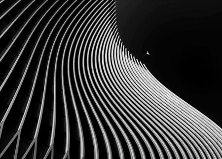 Ali Zolghadri | Fly In The Dark